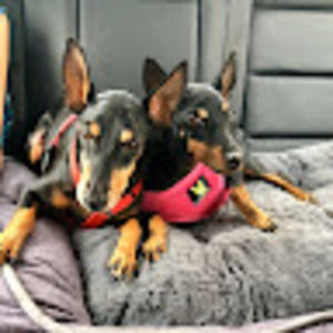 Meet your Posher, Bethany